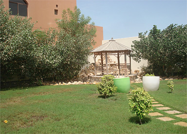 Modern Style Villa